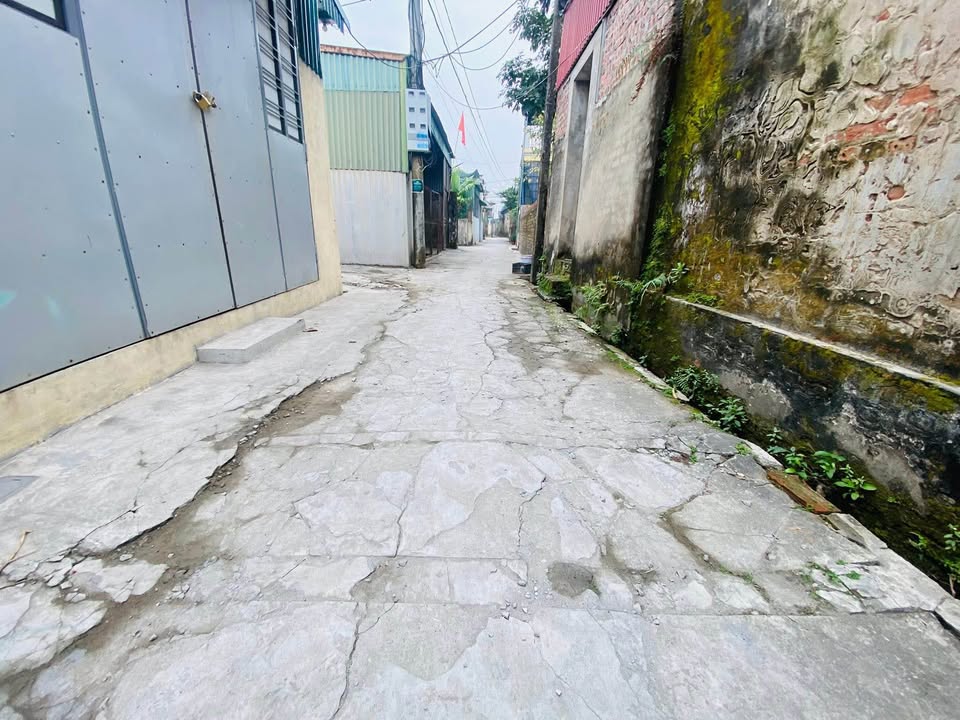 Bán lô đất thôn Trung Hòa, xã Vũ Chính 50m² giá 1 tỷ - Cơ hội đầu tư hấp dẫn!