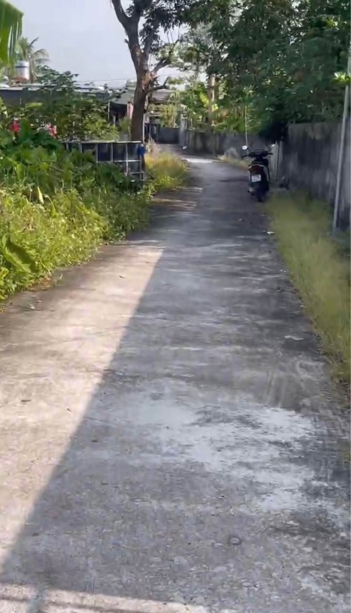 Đất nền xã Thái Thọ, huyện Thái Thụy 163m² giá thỏa thuận - Đường ô tô vào tận nơi!