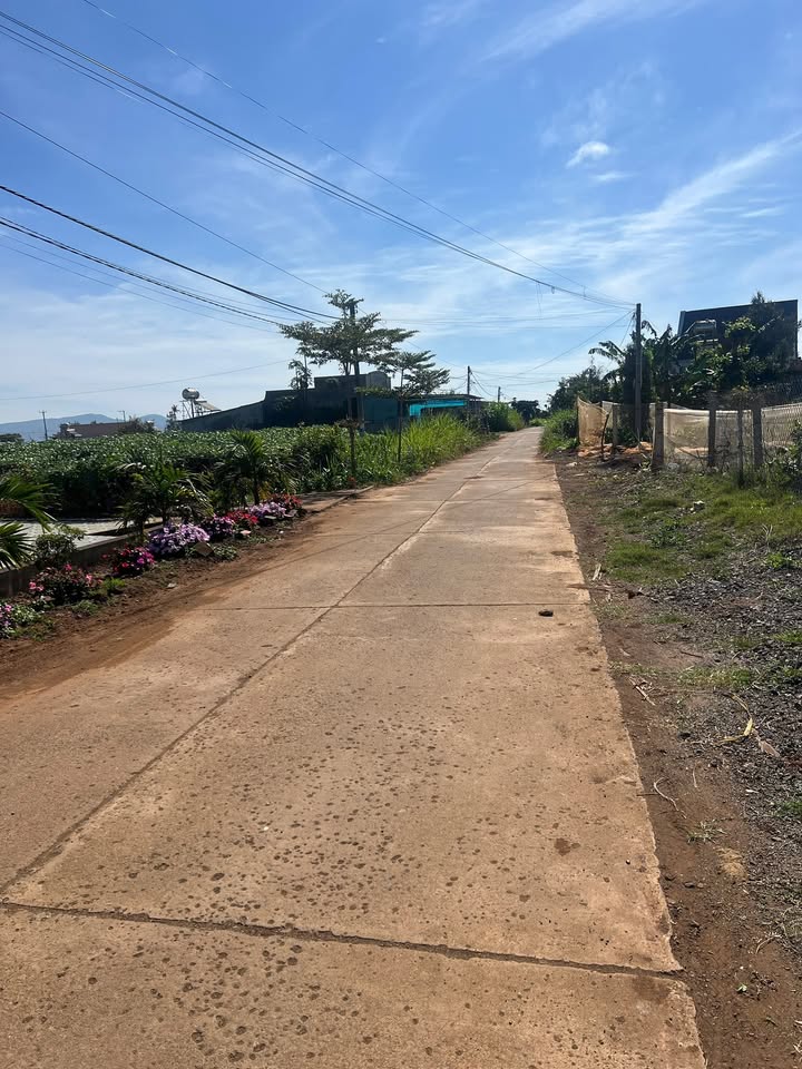 Đất nền Khu dân cư Tân Phú, Lâm Đồng 180m² giá 890 triệu - Cơ hội đầu tư tuyệt vời!