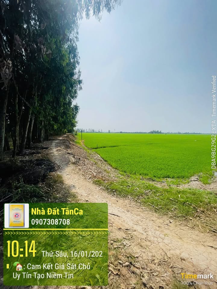 Đất nông nghiệp mặt tiền Bờ Sáng, Tân Phú, 3.300m² giá chỉ 650 triệu!