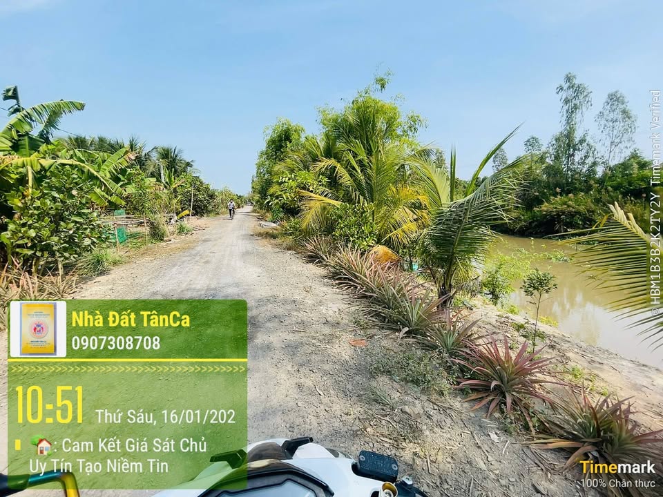 Đất Ruộng 2000m² Mặt Tiền Đường Rãi Đá Xã Bình Tấn - Giá 500 triệu