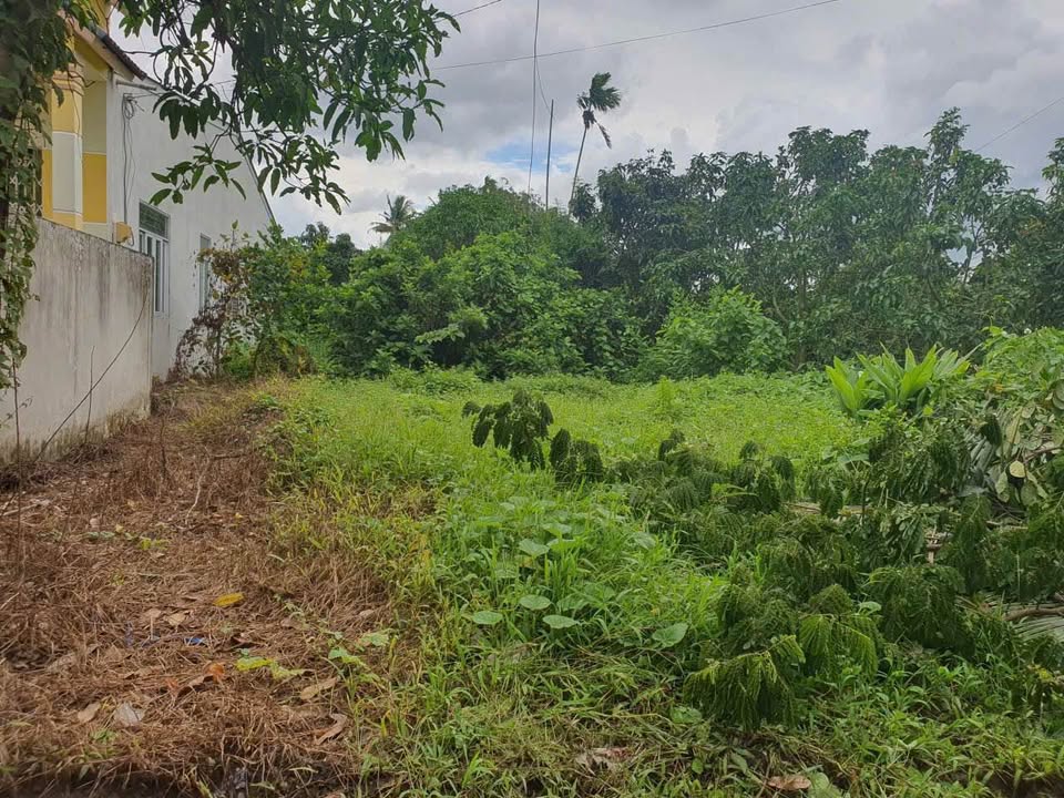 Đất nền Sông Tiên, Phường 6, Cao Lãnh 900m² giá 2.7 tỷ - Thích hợp xây nhà ở, nhà trọ