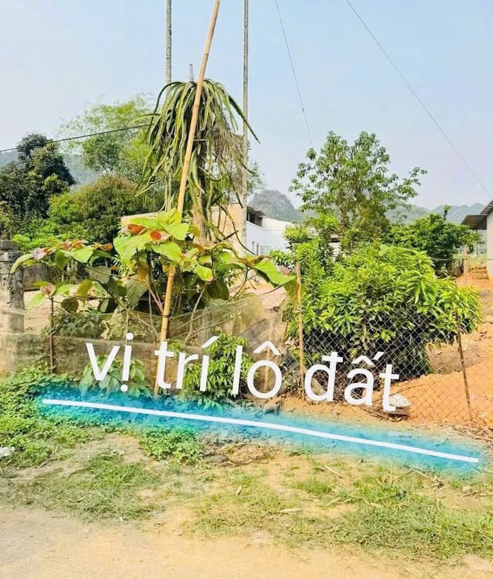 Đất thổ cư 171m² tại Lạc Lương, Yên Thủy - Giá chỉ 800 triệu