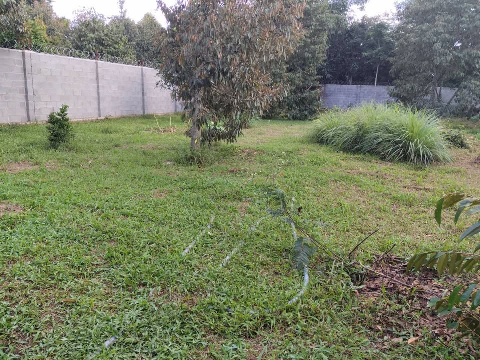 Nhà vườn tại hồ Tara, Đắk Lắk 952m² - Chính chủ bán, giá tốt!