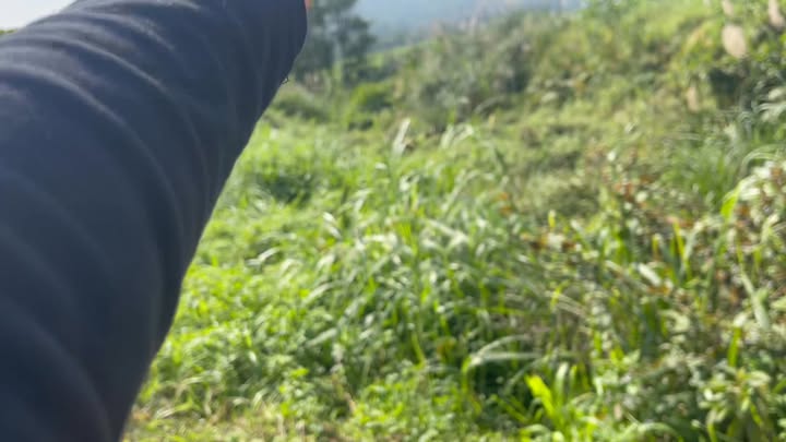 Đất thổ cư Xã Sơn Lễ, Huyện Hương Sơn, 300m² - Đầu tư sinh lời ngay!