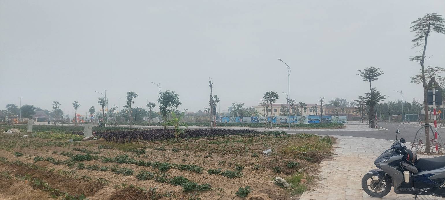 Đất nền Xã Thanh Sơn, Huyện Kiến Thuỵ 80m² giá 2 tỷ - Cơ hội đầu tư hiếm có!