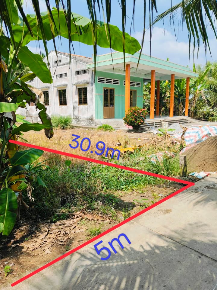 Đất thổ cư 251m² tại An Vĩnh Ngãi, Long An - Giá chỉ 500 triệu, cơ hội đầu tư tuyệt vời!