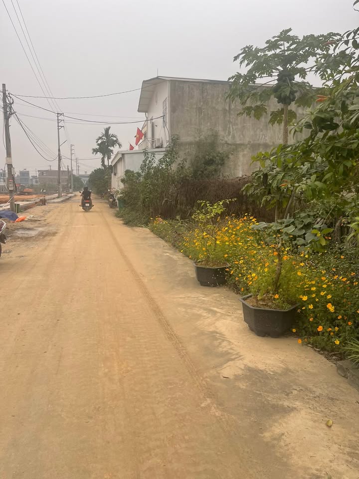 Đất nền Thị trấn Hùng Sơn 100m² giá 1.6 tỷ - Cơ hội đầu tư tuyệt vời!