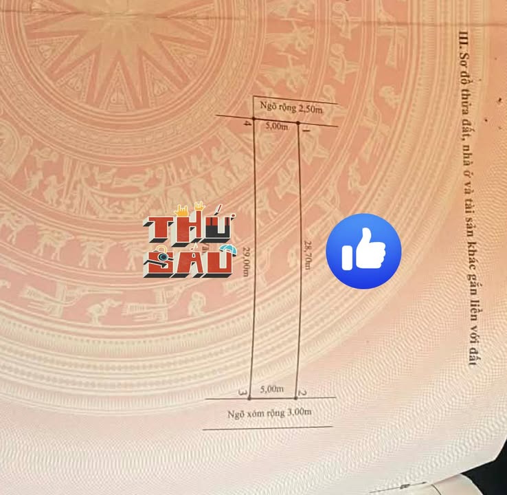 Đất nền Giang Biên 150m² - Đầu tư sinh lời ổn định!