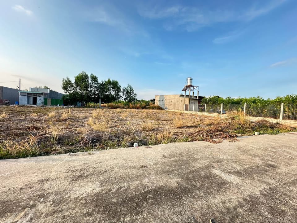 Đất nền Hắc Dịch 82m² giá 199 triệu - Sổ hồng chính chủ, vị trí đẹp!