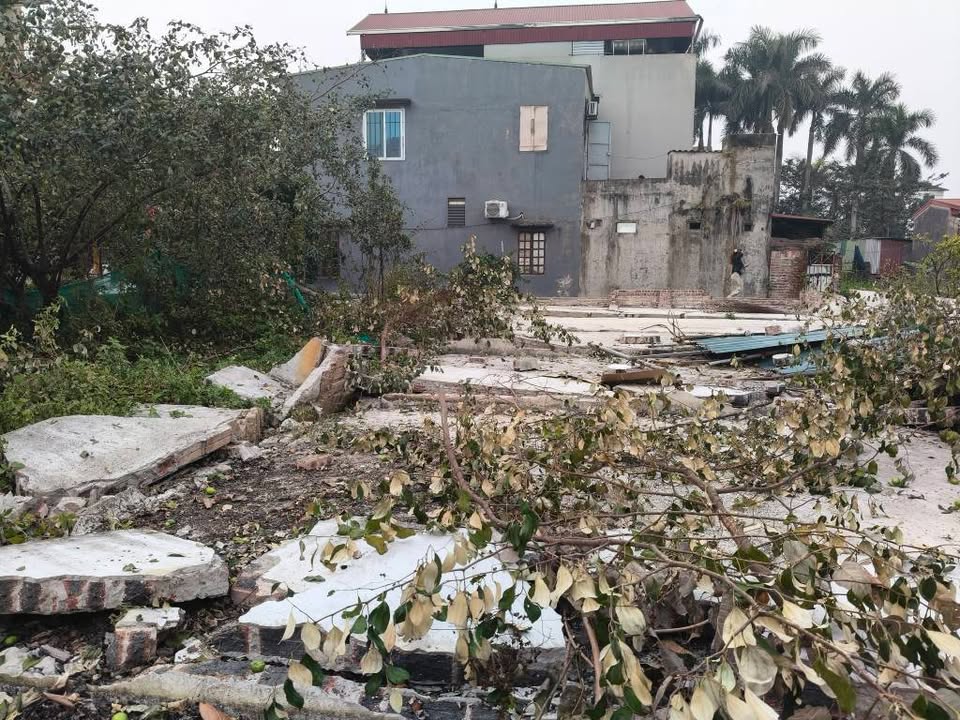 Đất ruộng Vân Nội 610m² giá 2.25 tỷ - Cơ hội đầu tư hấp dẫn!