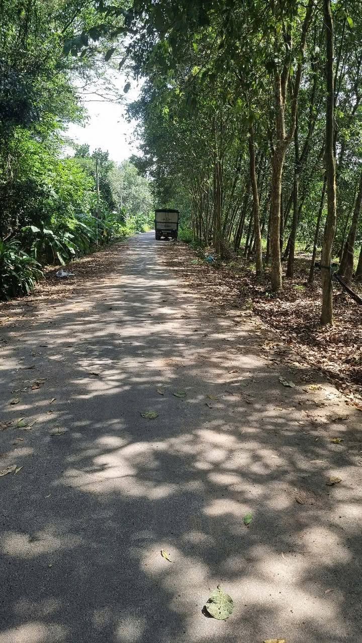 Đất nền xã Minh Tân 10,000m² giá thỏa thuận - Mặt tiền nhựa rộng 200m!