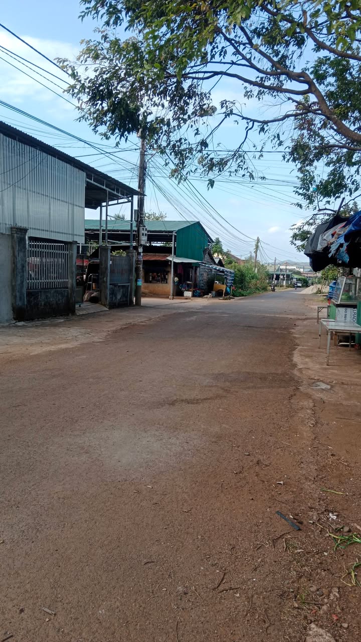 Lô đất mặt tiền đường nhựa Khánh Xuân 100m² giá 799 triệu - Cơ hội đầu tư sinh lời!