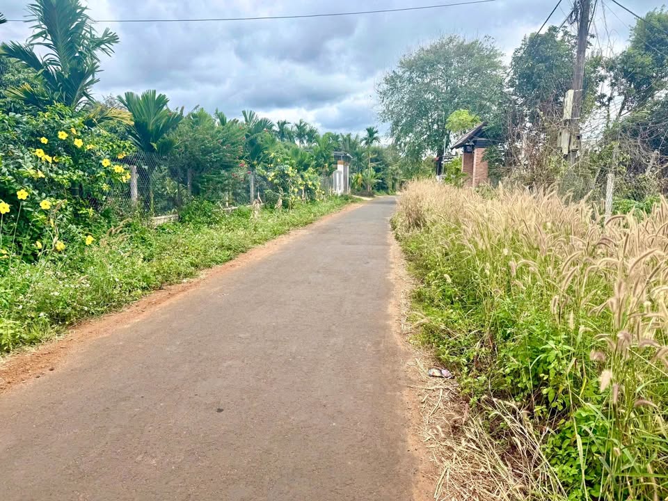 Đất nền Eakao 175m² giá 990 triệu - Đường nhựa thông thoáng, sẵn sàng đầu tư!