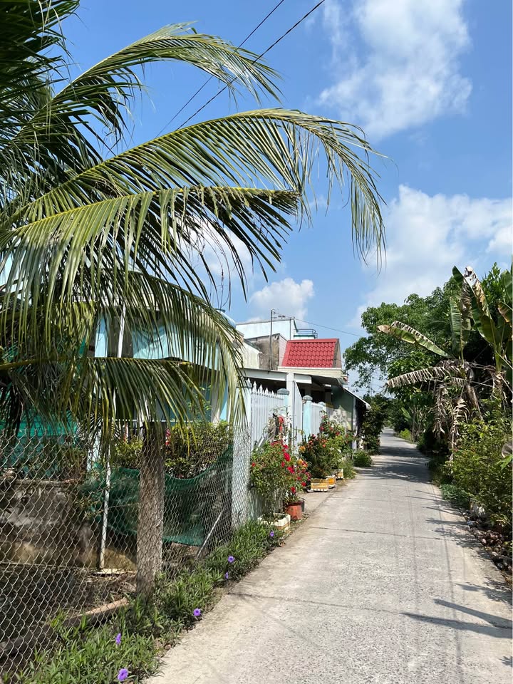 Đất nền thổ cư Long Hồ 82m² giá chỉ 270 triệu - Sổ đỏ chính chủ!