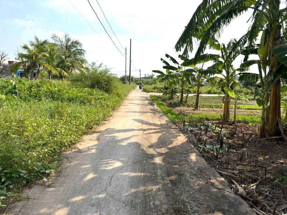 Đất nền Minh Quang, Kiến Xương 100m² giá 600 triệu - Đường ô tô vào tận đất!