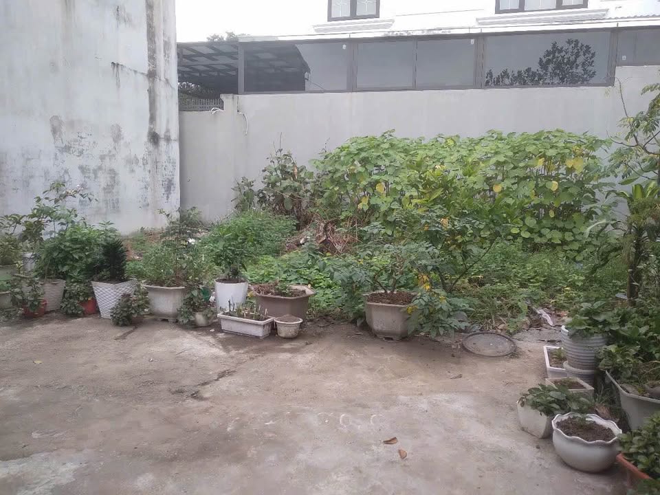 Đất nền Cách Thượng, Nam Sơn 70m² giá 1 tỷ - Đầu tư sinh lời!