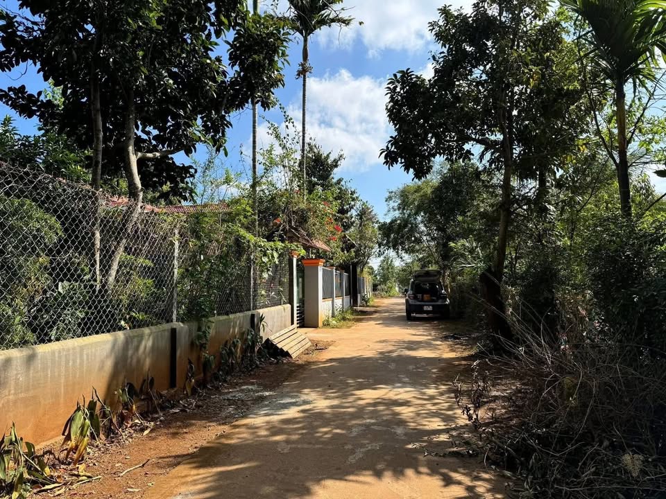 Đất nền 150m² hẻm cấp Nguyễn Xuân Nguyên, Tân An chỉ 1.79 tỷ - Đầu tư sinh lời ngay!