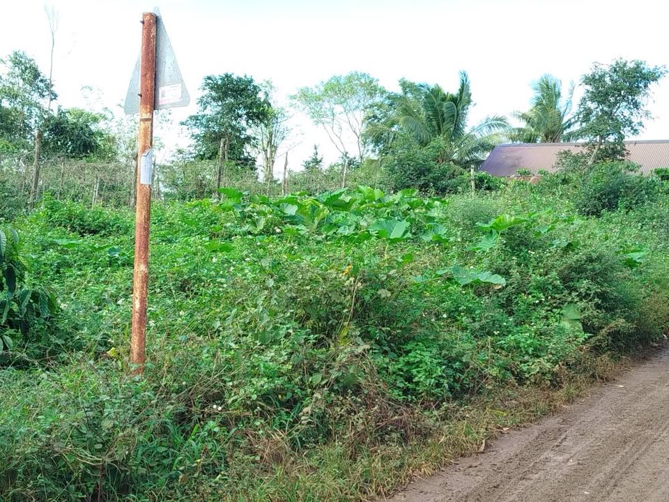 Đất nền đẹp tại Phường Thống Nhất, Thị Xã Buôn Hồ 192m² giá 600 triệu - Cơ hội đầu tư không thể bỏ lỡ!