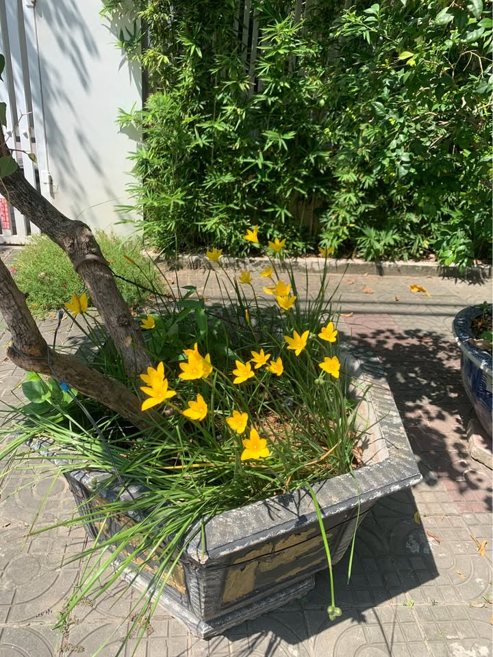 Nhà cho thuê tại 858 Trần Nhân Tông, Kiến An, Hải Phòng - Diện tích 145m², thuận tiện giao thông!