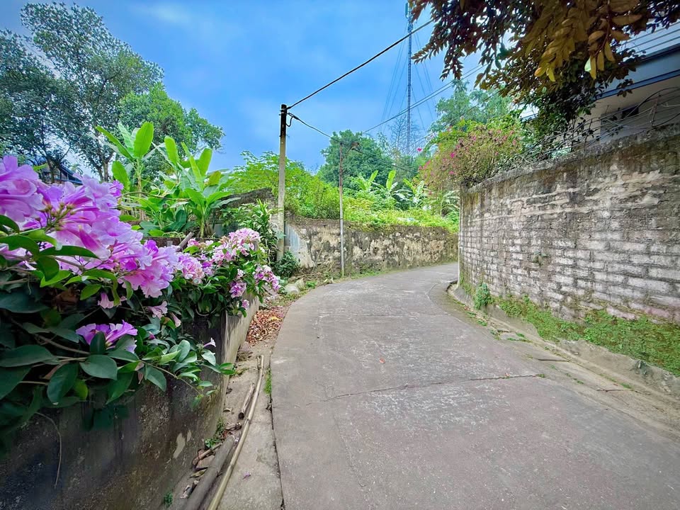Đất nền 150m² tại Ngõ 1 Đường Trịnh Bá - Giá chỉ 1 tỷ, đầu tư sinh lời!