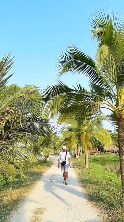 Farm Dạ Thảo Quán Tây Ninh 12.000m² giá 26 tỷ - Cơ hội đầu tư tuyệt vời!