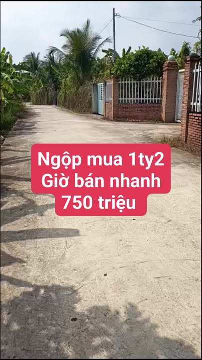 Đất nền Phường Tân Phong, Biên Hòa 600m² giá chỉ 750 triệu - Cơ hội đầu tư tuyệt vời!