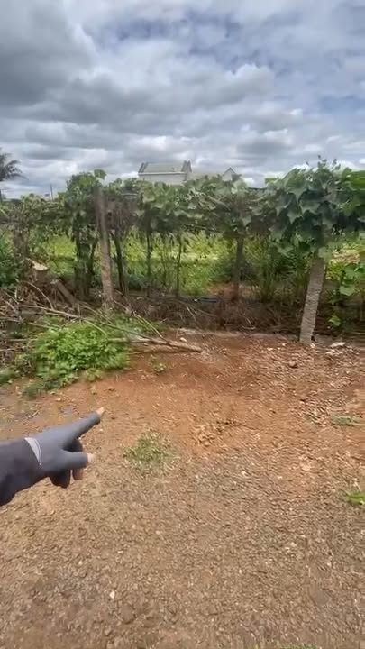 Đất thổ cư 125m² hẻm xe hơi Nguyễn Tuân, Pleiku giá 580 triệu - Sổ hồng chính chủ!