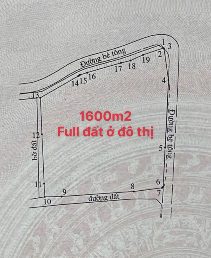 Đất nền 1600m² tại Phường Ninh Đa, Ninh Hòa - Cơ hội đầu tư tuyệt vời!