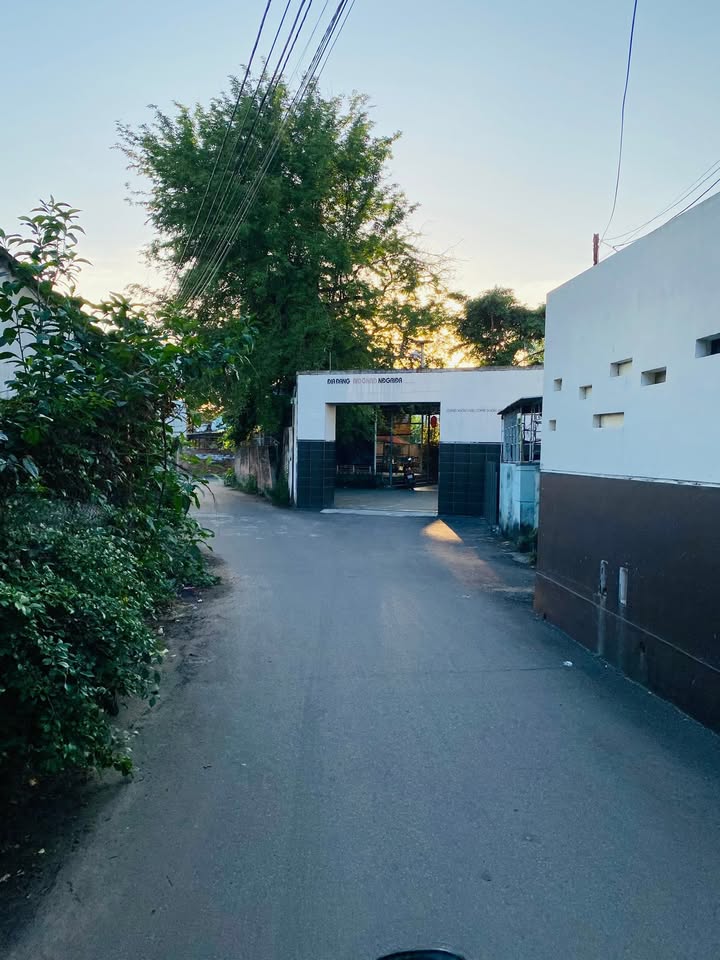 Đất thổ cư thôn Vĩnh Hy, xã Phước Lộc, 110m² giá 600 triệu - Cơ hội đầu tư sinh lời!