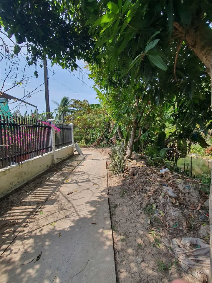 Đất Thổ Cư Quận Bình Thủy 50m² giá chỉ 400 triệu - Cơ hội đầu tư tuyệt vời!