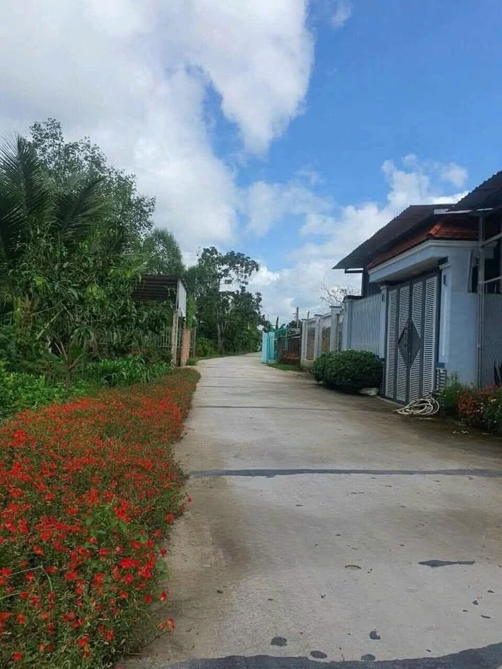 Đất nền Trương Vĩnh Nguyên 99m² giá 1.3 tỷ - Vị trí đẹp, đông dân cư!