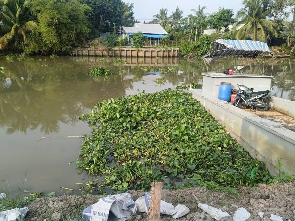 Đất nền tại Đông Hiệp, Cờ Đỏ 452m² giá 1.1 tỷ - Đầu tư sinh lời hấp dẫn!