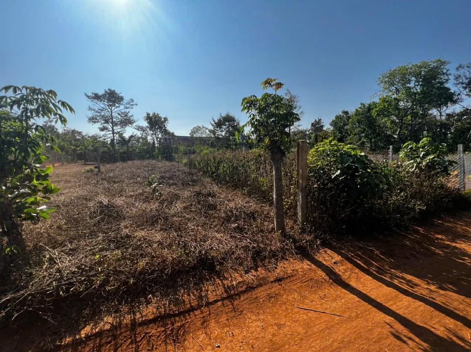 Đất thổ cư Buôn Nu, Pơng Drang 150m² giá 399 triệu - Cơ hội đầu tư tuyệt vời!