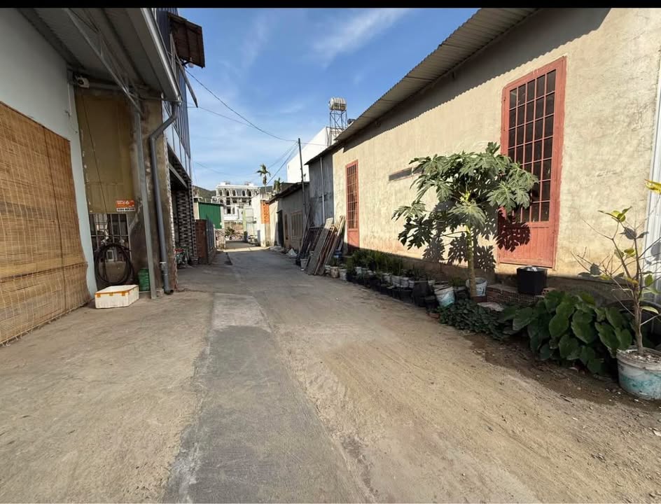 Đất thổ cư 240m² tại Sân Vận Động Thạnh Mỹ giá 2.5 tỷ - Cơ hội đầu tư hấp dẫn!