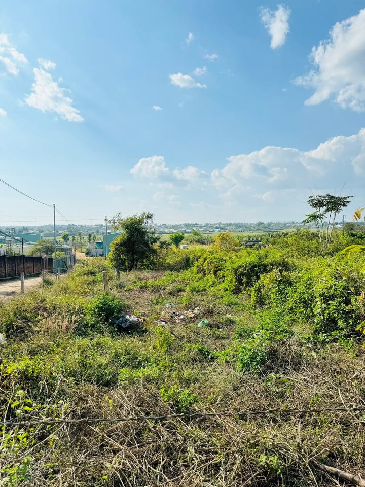 Đất nền hẻm 167 Lê Đại Hành, Pleiku 135m² giá 875 triệu - Cơ hội đầu tư tuyệt vời!