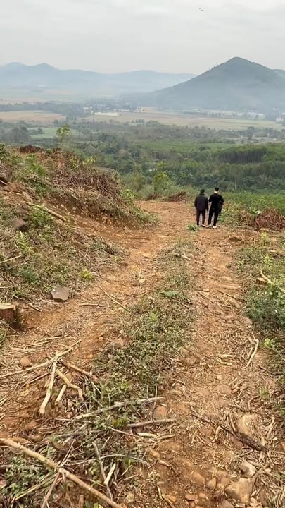 Đất rừng sản xuất 1ha tại thị trấn Cẩm Thủy giá 11.8 tỷ - Cần bán gấp trong tuần!