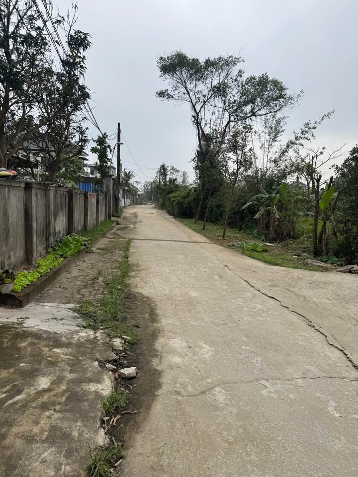 Đất nền đường Phú Minh, Hưng Hòa, 100m² - Đầu tư sinh lời ngay!