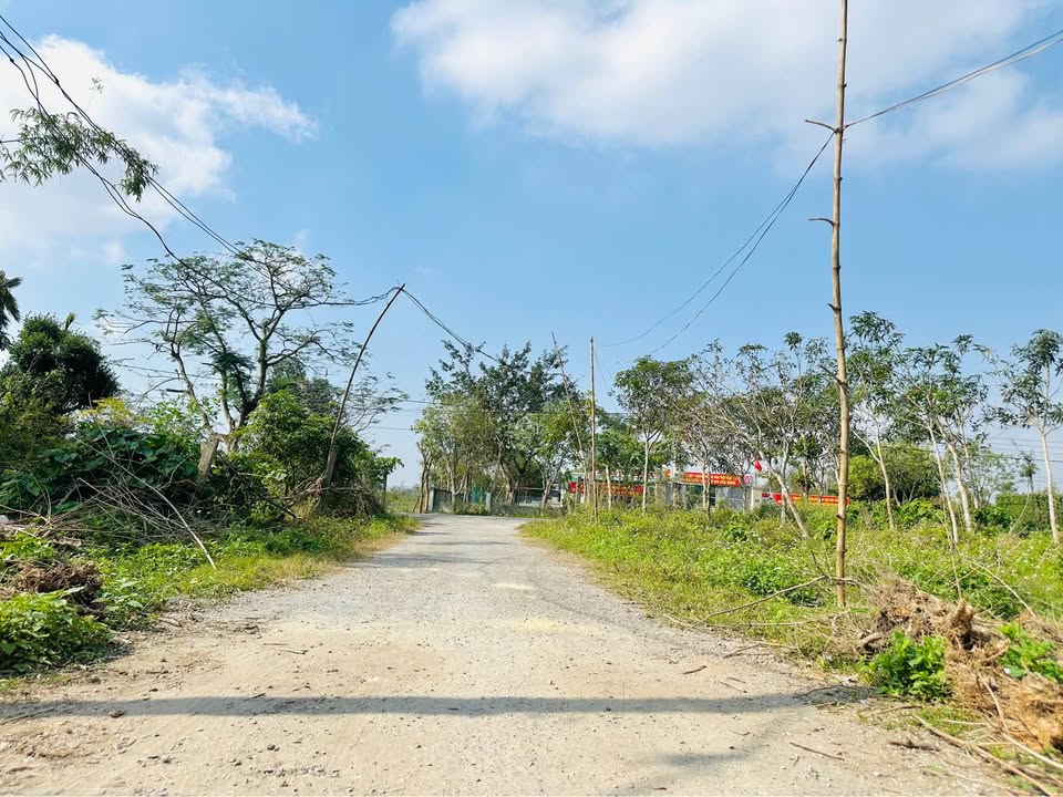 Đất Nền Hưng Đông Vinh 89.2m² giá 1.6 tỷ - Đường 5m thông thoáng!