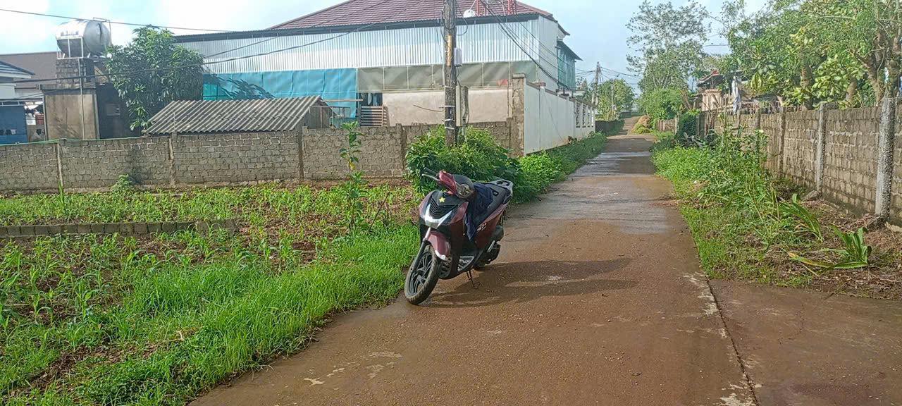 Đất thổ cư Xóm An Phú, Nghĩa An, 193m² giá 500 triệu - Cơ hội đầu tư hấp dẫn!