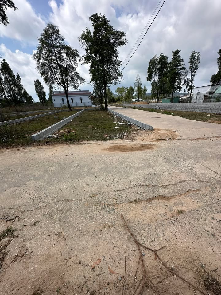 Đất nền thổ cư Cây Thông Trong Phú Quốc 125m² giá 1 tỷ - Pháp lý an toàn, vị trí đắc địa!