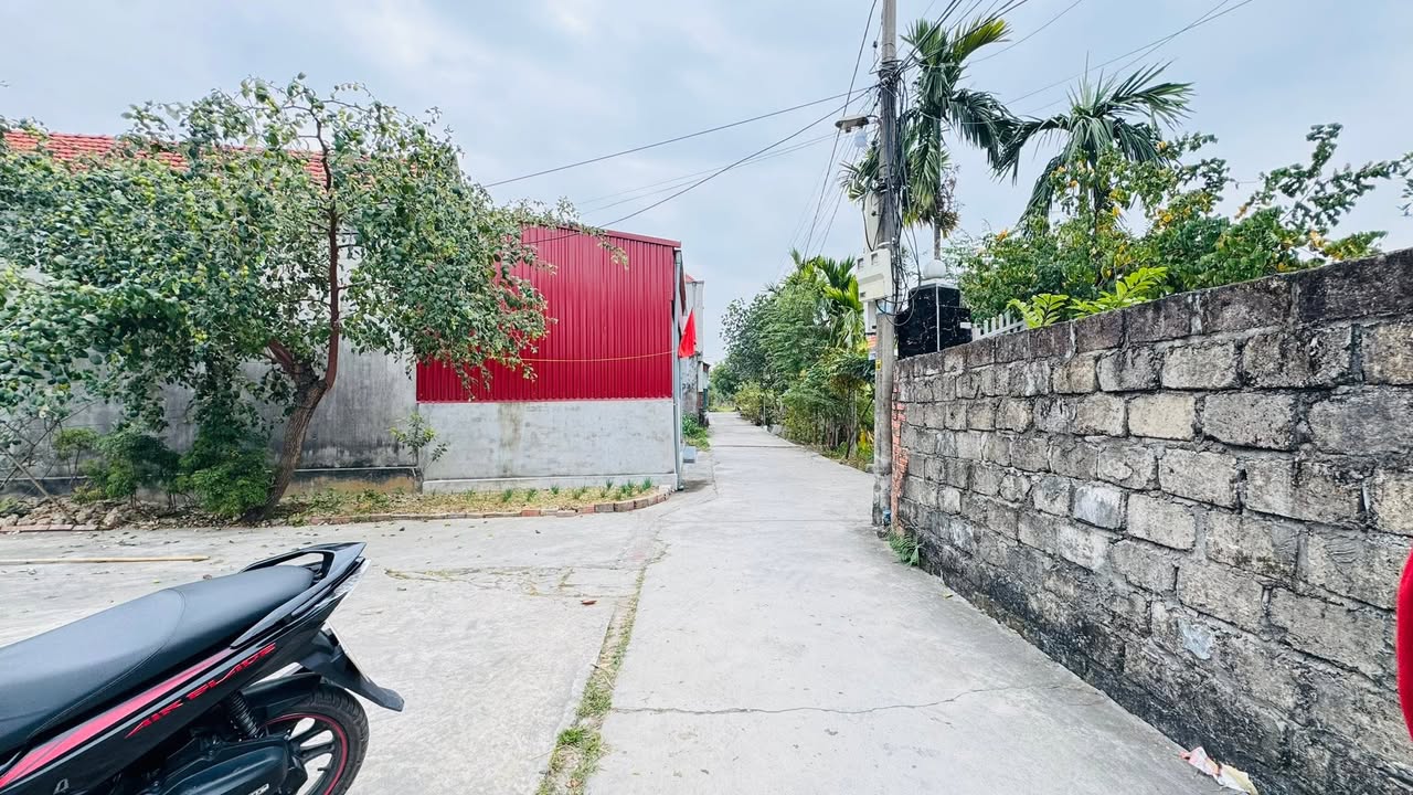 Đất thổ cư thôn Đền Lâm Động, Hải Phòng 900m² giá 2.3 tỷ - Ô tô vào tận nơi!