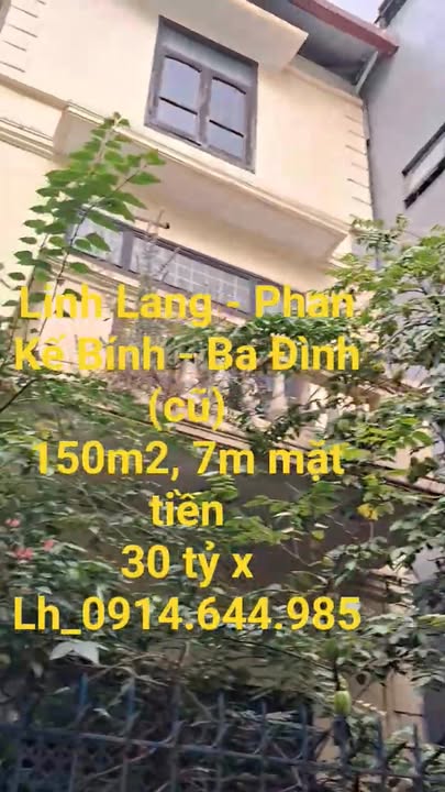 Đất Linh Lang - Phan Kế Bính, Ba Đình 150m² giá 30 tỷ - Cơ hội đầu tư tuyệt vời!