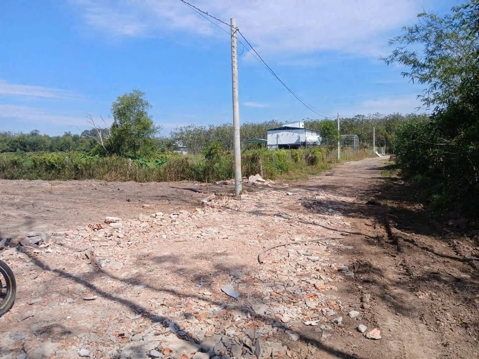 Đất nền An Điền Bến Cát 4000m² giá 6 tỷ - Sổ hồng riêng, đầu tư sinh lời!