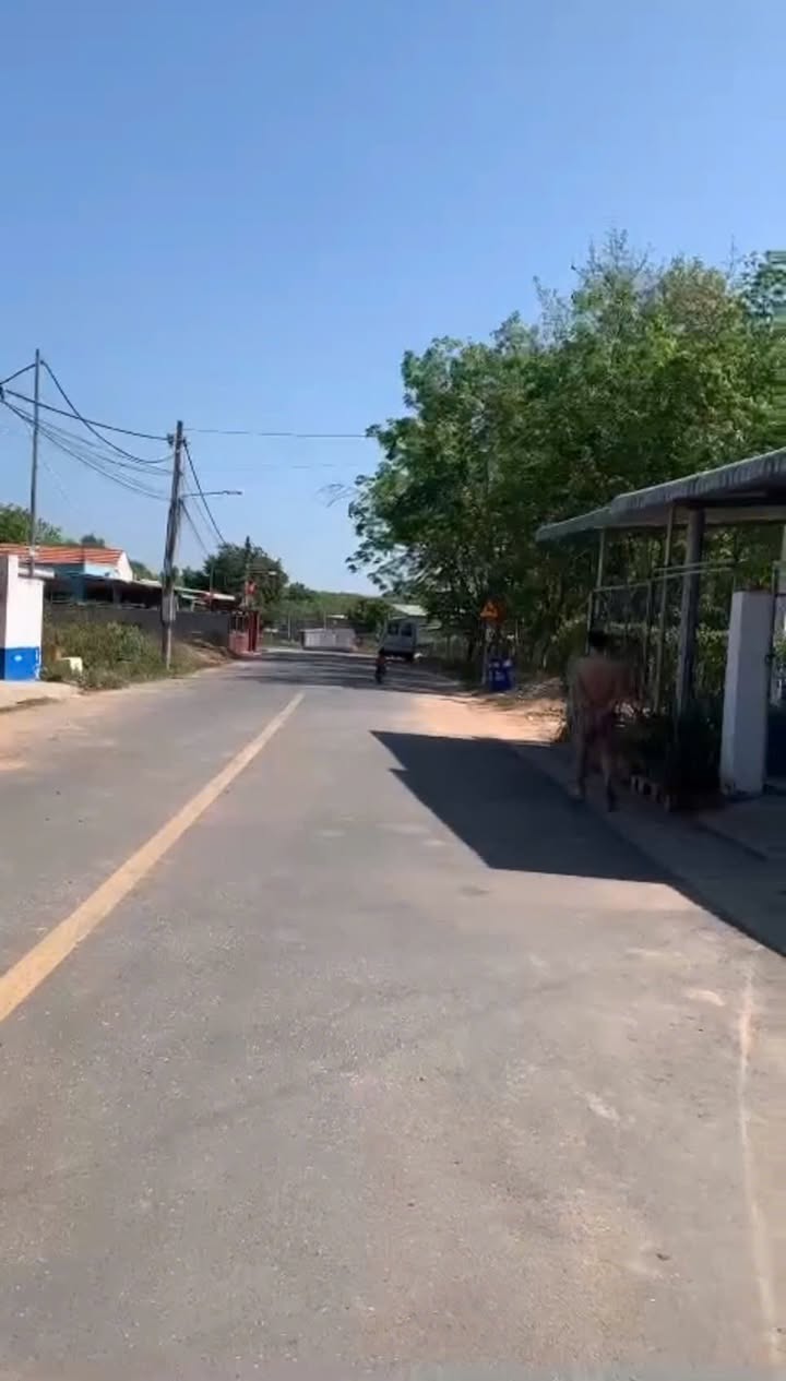 Phòng trọ Tân Uyên, Bình Dương 240m² giá 3.45 tỷ - Đầu tư sinh lời ngay!