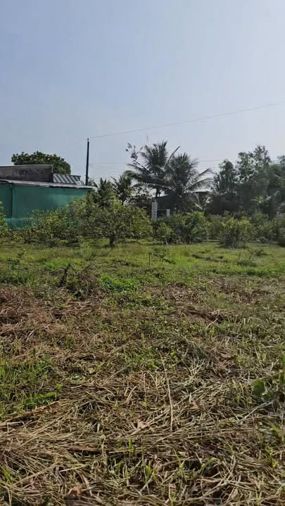 Đất nền thổ cư 1800m² xã Trường Long, giá chỉ 1.5 tỷ - Cơ hội đầu tư tuyệt vời!