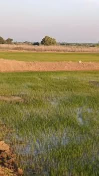 Đất nông nghiệp 2160m² tại xã Ia Phang, Gia Lai - Giá chỉ 110 triệu