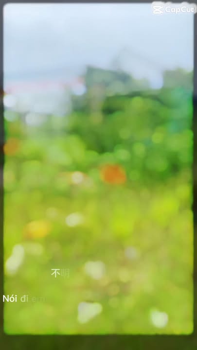 Đất nền QL80 Sa Đéc 350m² giá 3.85 tỷ - Phù hợp làm kho bãi!