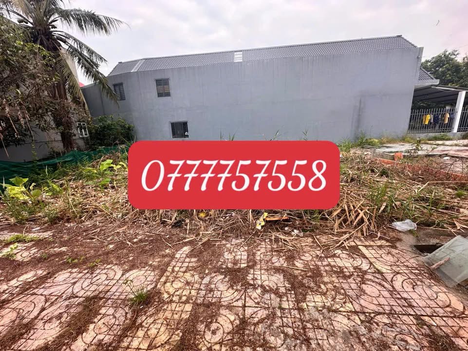 Bán đất mặt tiền Trần Thị Nhượng, Sa Đéc 76m² - Vị trí đẹp, giá hợp lý!