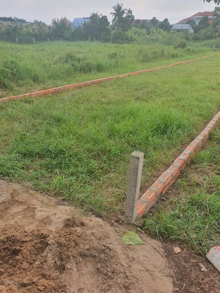 Lô đất thổ cư Cần Giuộc 147m² giá 1.5 tỷ - Đường xe hơi dễ dàng di chuyển!